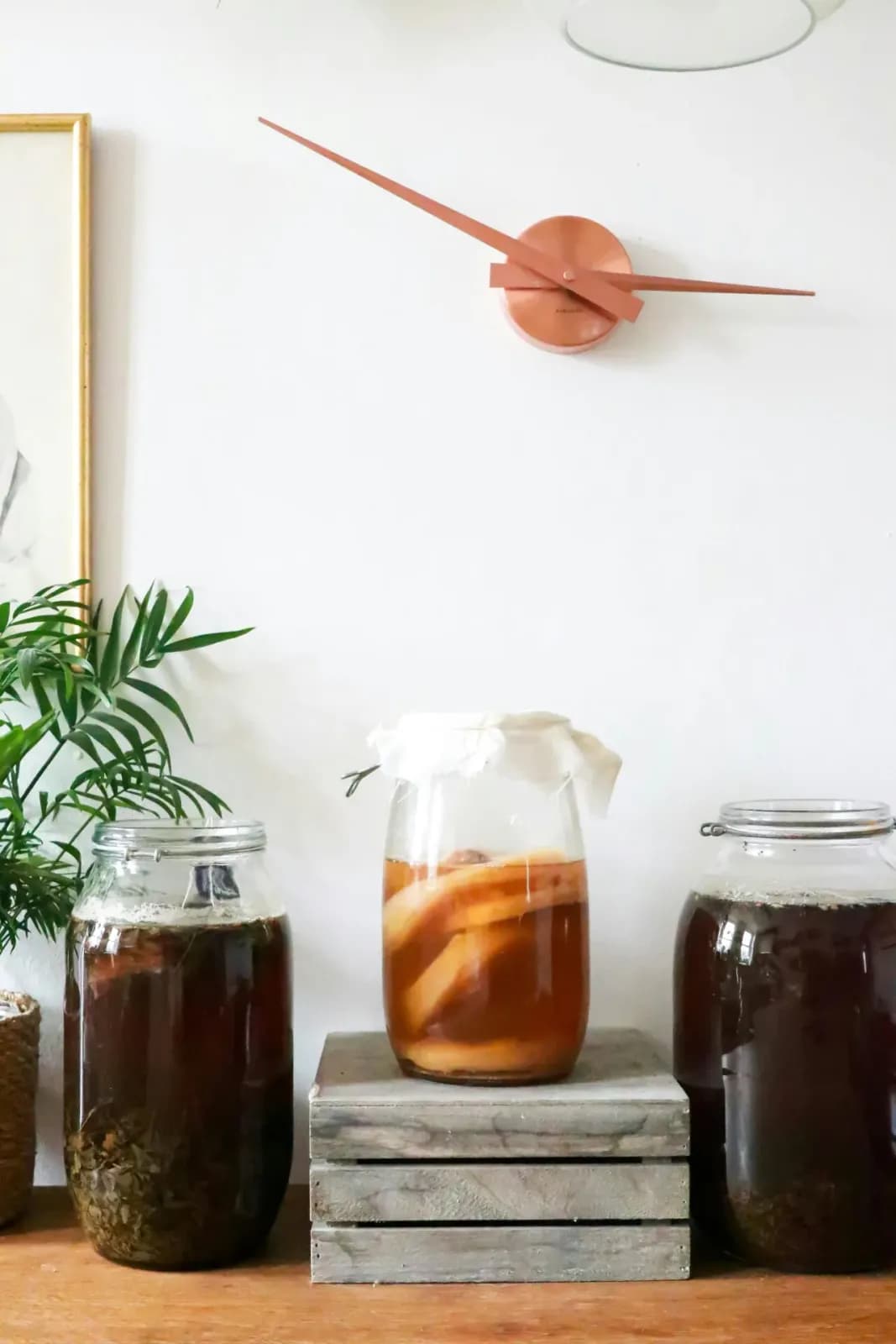The Quiet Fermentation Revolution Happening Behind the Bar